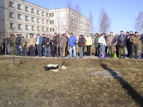 В Мирном прошел массовый субботник