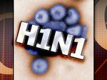        H1N1 ( )